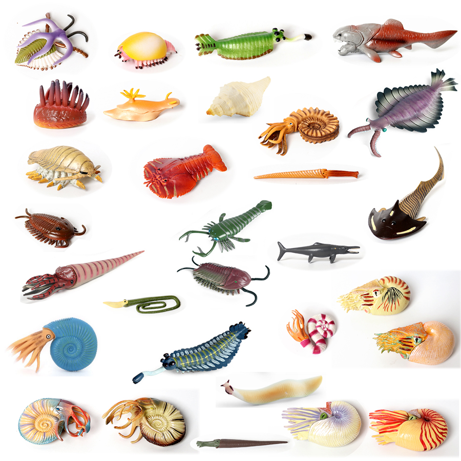 Kids Toys China - Plastic Prehistoric Sea Creature Ancient Cambrian