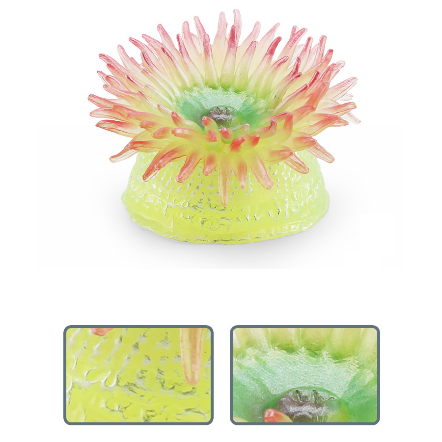 Realistic Coral Sea Anemones S - Kids Toys China recensione e prezzo