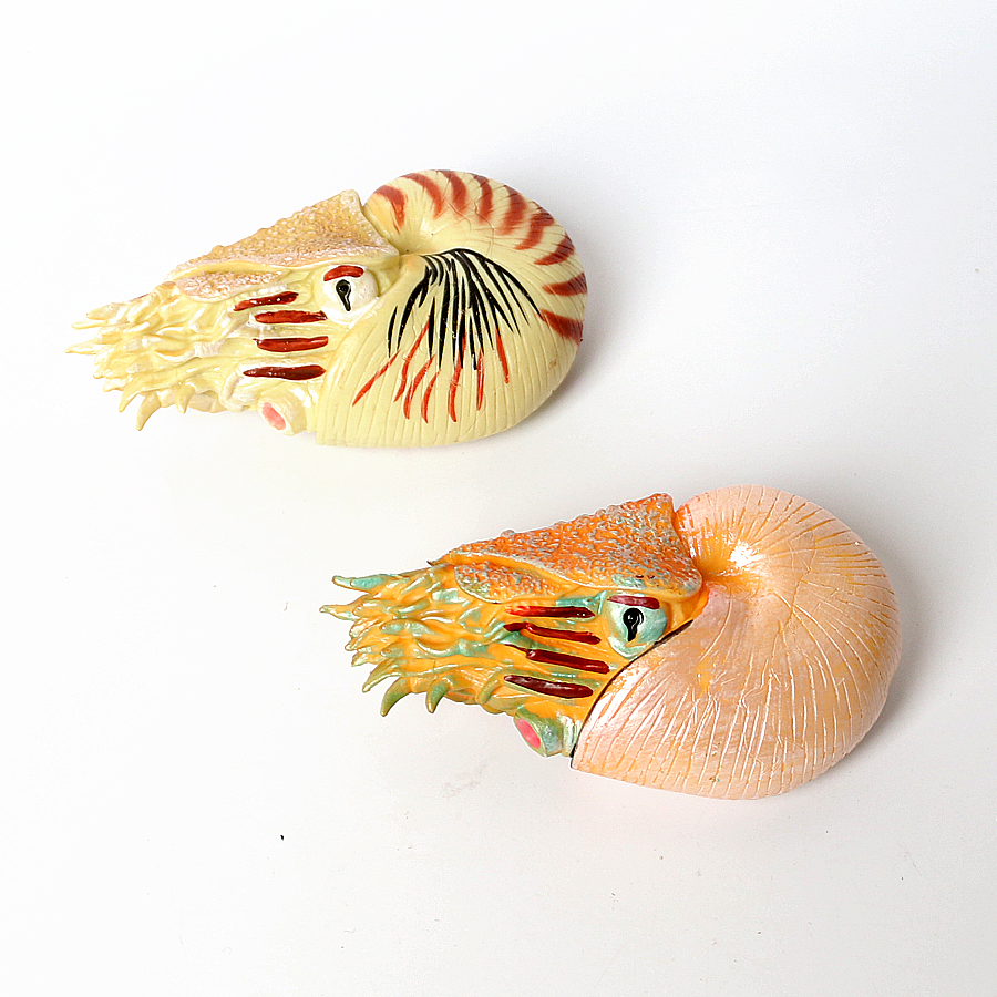 Plastic Prehistoric Sea Creatu - Kids Toys China recensione e prezzo