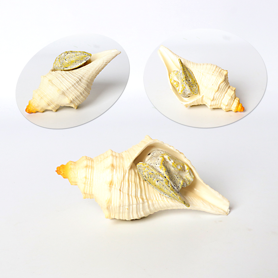 Plastic Prehistoric Sea Creatu - Kids Toys China recensione e prezzo